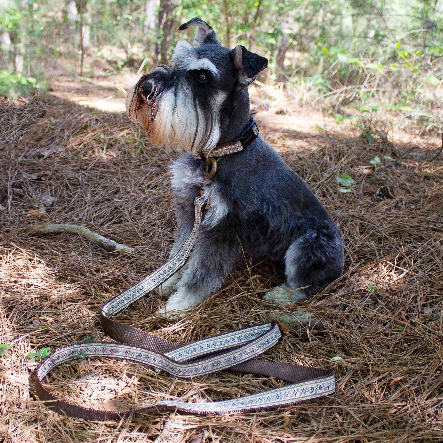 Pendleton Dog Leash | Westerley